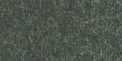 Possum - Moss-158